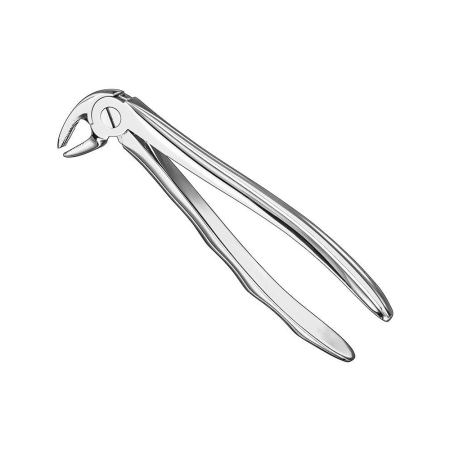 Extracting forceps, engl
